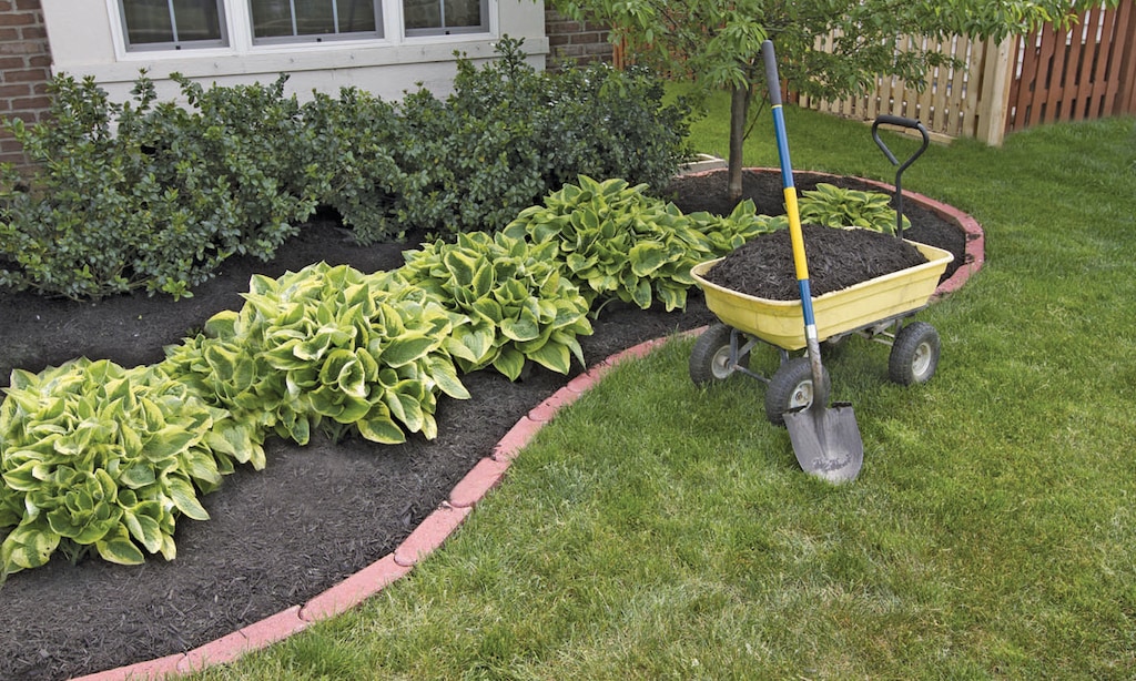 Product image for BEAN'S FARM Free with any home delivery order.