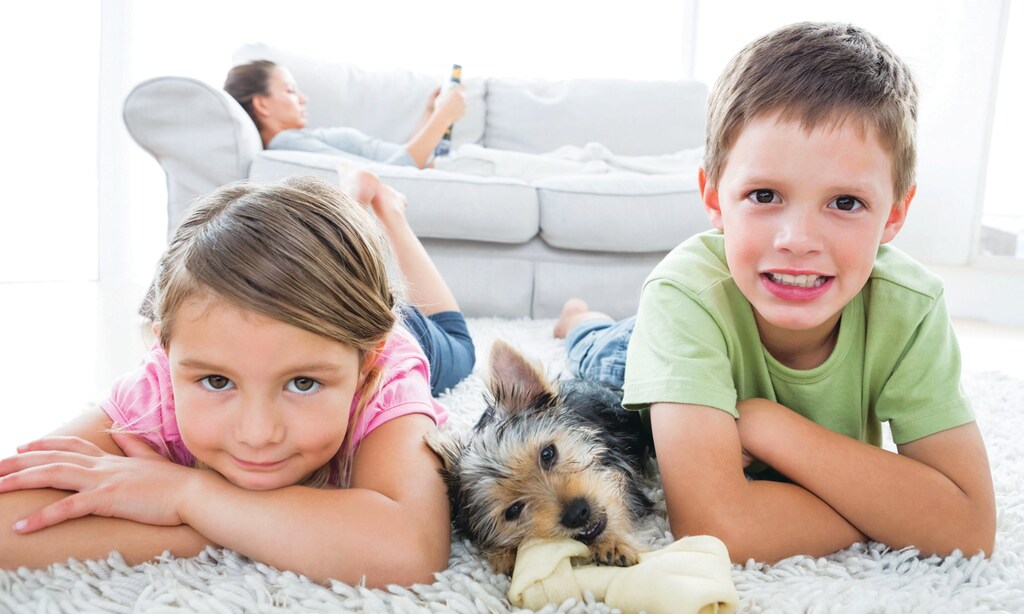 Product image for A&A Carpet Cleaners $69 any 2 areas