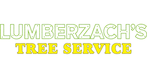 Lumber Zack'S Tree Service And Firewood logo