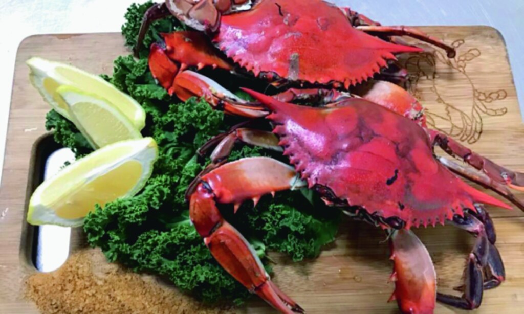 Product image for Calvert Crabs & Seafood $5 off your order of $25 or more