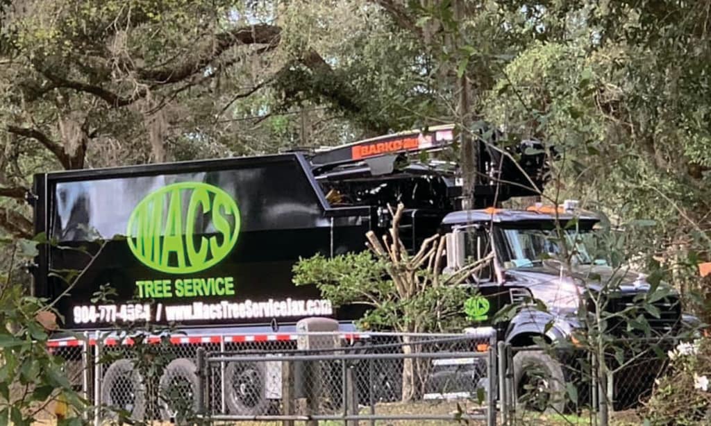 Product image for Macs Tree Service $100 OFF tree service of $1000 or more. 