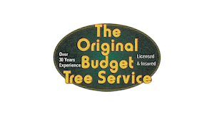 The Original Budget Tree Service logo
