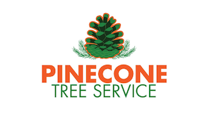 Pinecone logo
