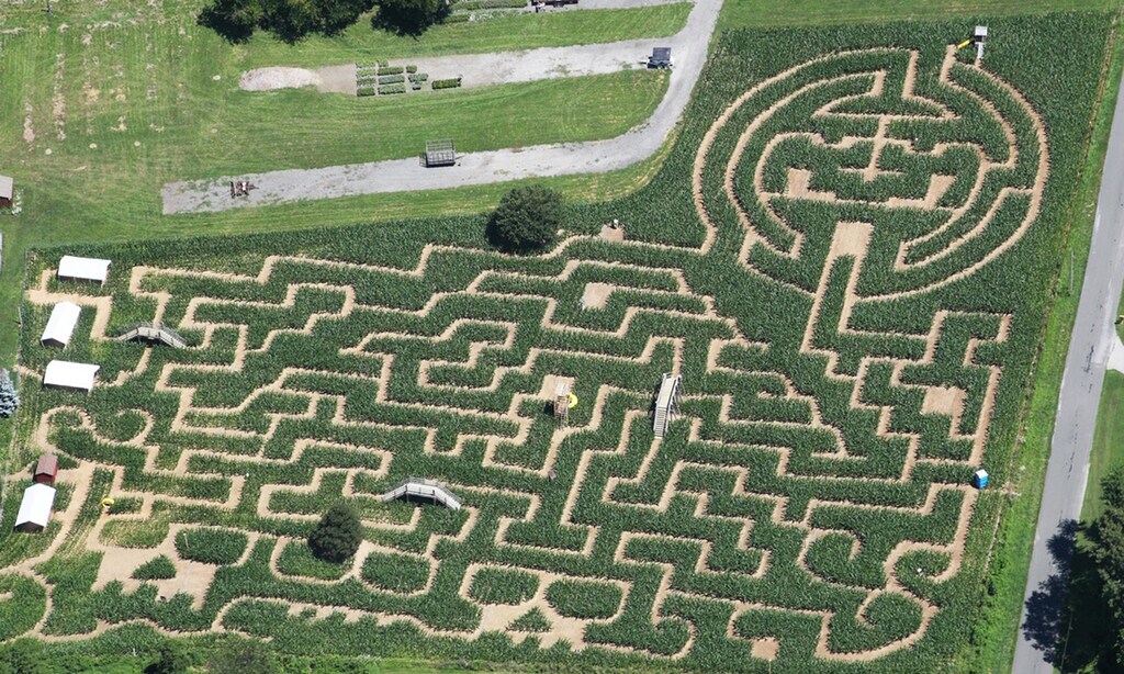 Product image for Cornfusion Corn Maze $20 For 4 Admissions To Cornfusion Corn Maze (Reg. $40)