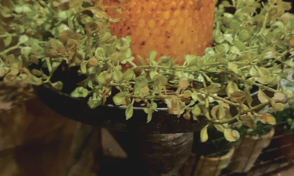 Product image for Homestead Furnishing & Gifts $50 For $100 Toward Home Furnishings