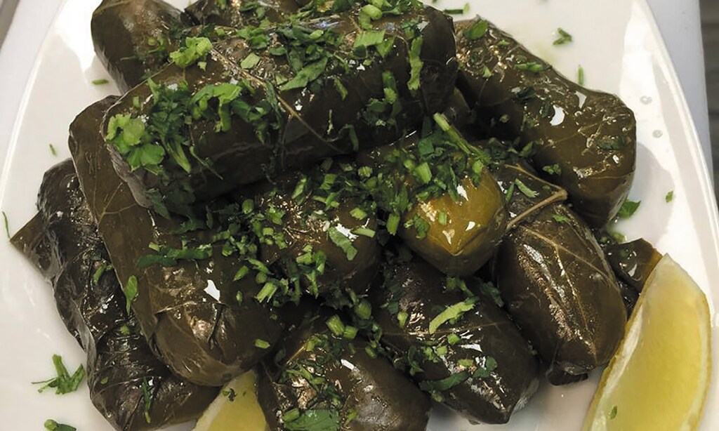 Product image for Georgy Gyros $10 For $20 Worth Of Greek Cuisine