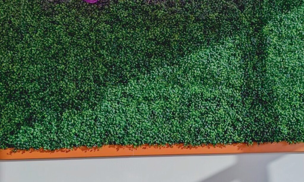 Product image for Baga Bowls $10 For $20 Worth Of Açaí Bowls & Smoothies