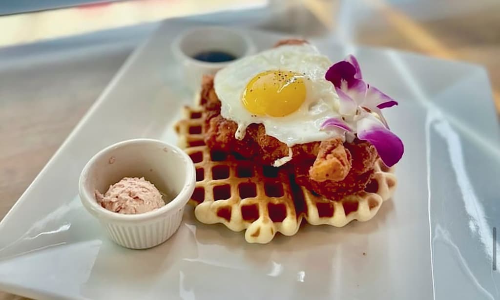 Product image for Blue Hippo Coffee Co $10 For $20 Worth Of Cafe Dining